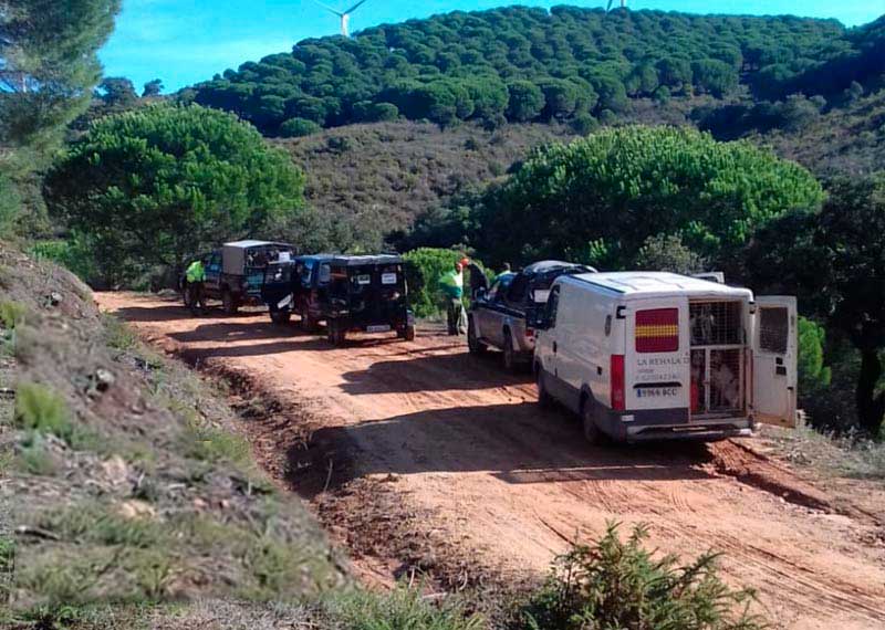 Los cazadores andaluces podrán desplazarse por su región aunque haya confinamiento