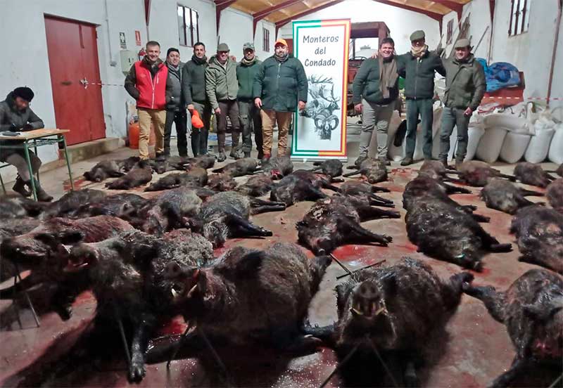 Resultado Montería Monasterios 2022 Monteros del Condado