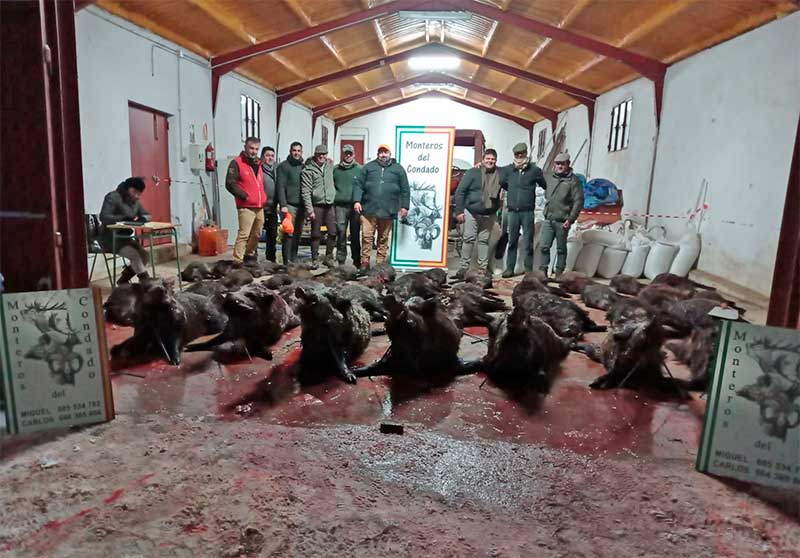 Umbrías Largas 2022 1