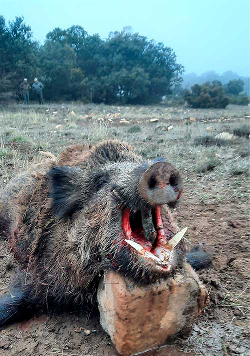 Umbrías Largas 2022 1