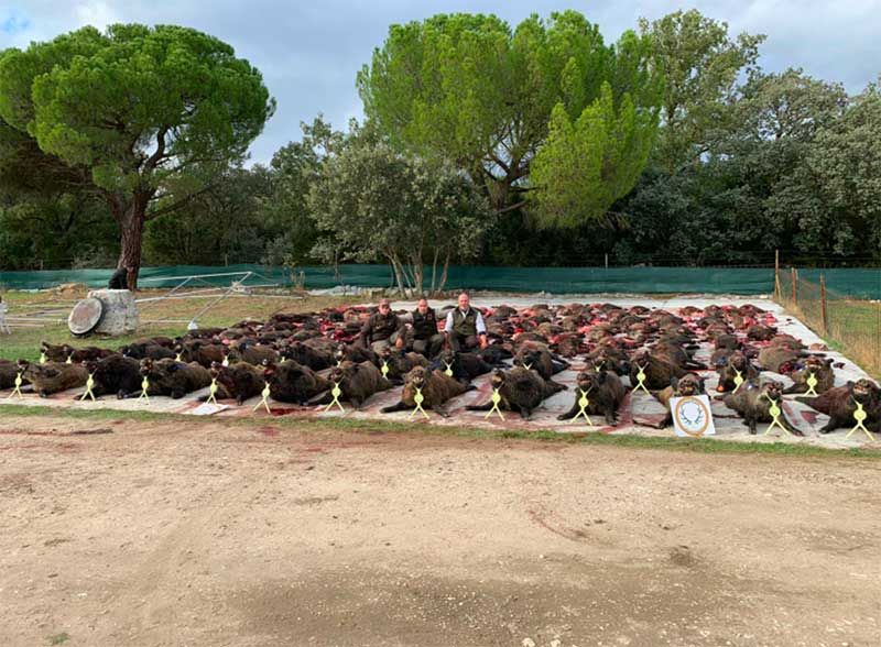 Resultado Montería Montebayón 2020 Gómez Caza S C