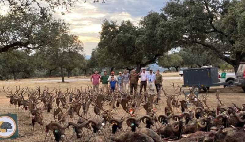 Montera Baja 2021 10