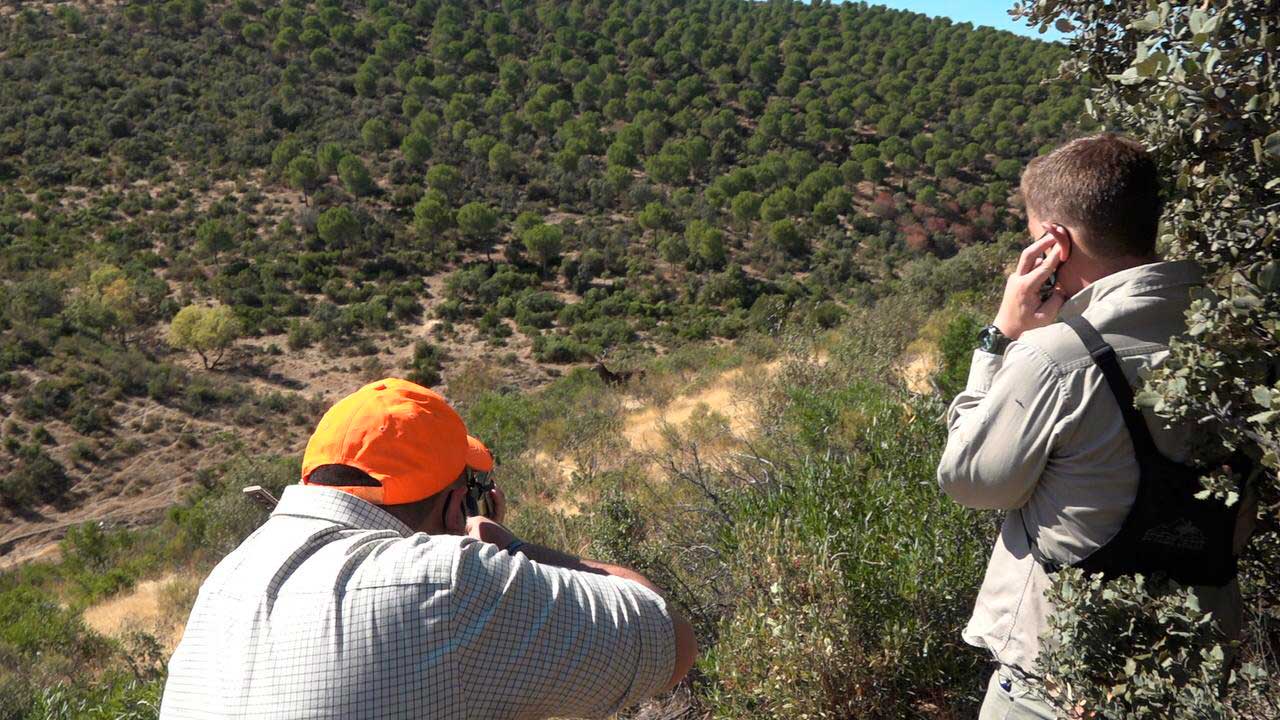 Resultado Montería Navarredonda 2020 Monteros del Condado