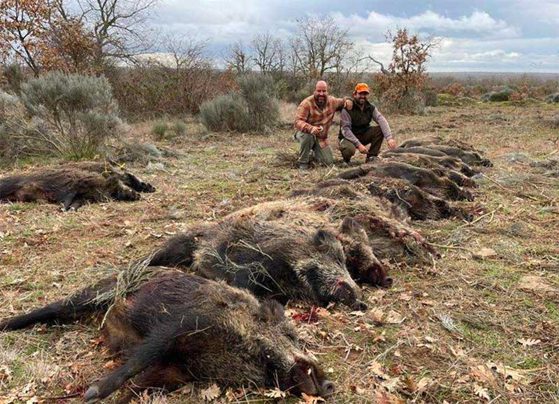 Resultado Montería Nieblas JB 2021 Cinegética Cijara