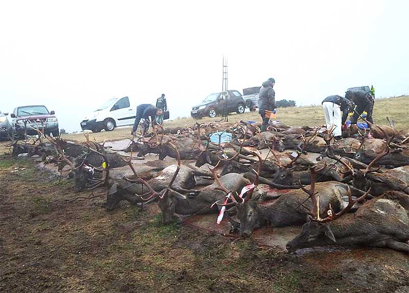 Resultado Montería Villahermosa 2021 Monteros del Condado