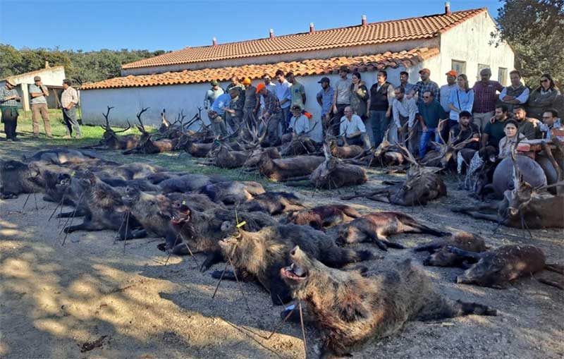 Resultado Montería Picoroto Alto 2021 Encicaza