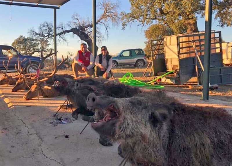 Resultado Montería Puerto Viejo 2021 Cinegética Montetrigo
