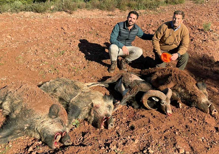 Resultado Montería Reina Marín 2020 Cinegética Montresur