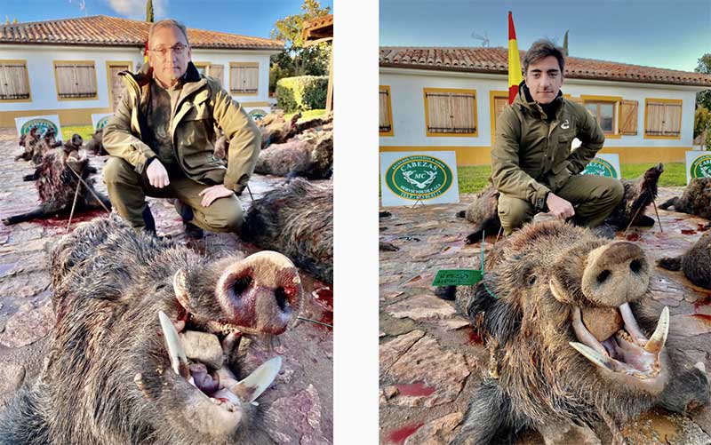 Ribera Alta Cabezas 2002