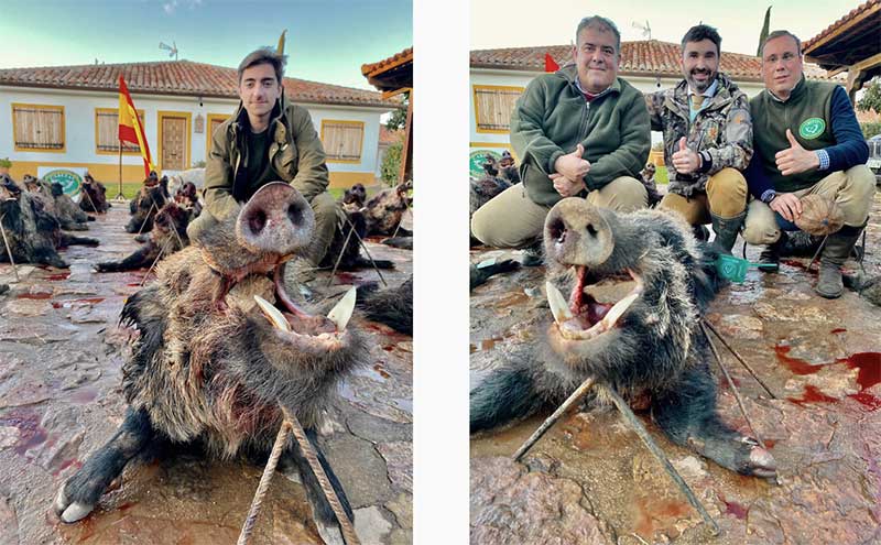 Ribera Alta Cabezas 2006