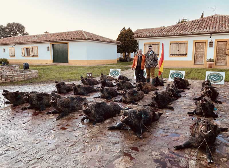 Ribera Alta Cabezas 2007