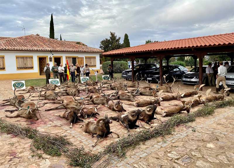 Ribera Alta oct Cabezas 2021 01