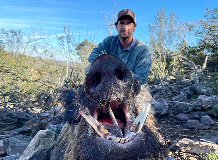 Resultado Montería Robledo de los Osillos 2022 Cinegética Cordobesa