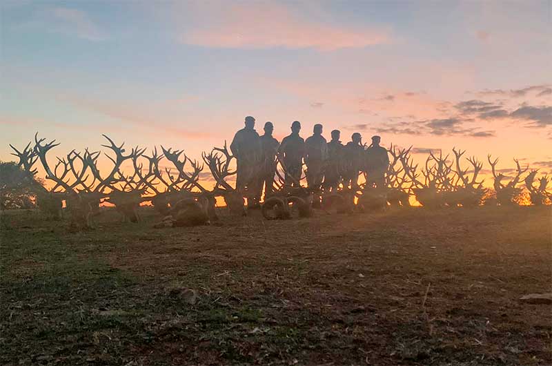Encomienda del Mochuelo 2000