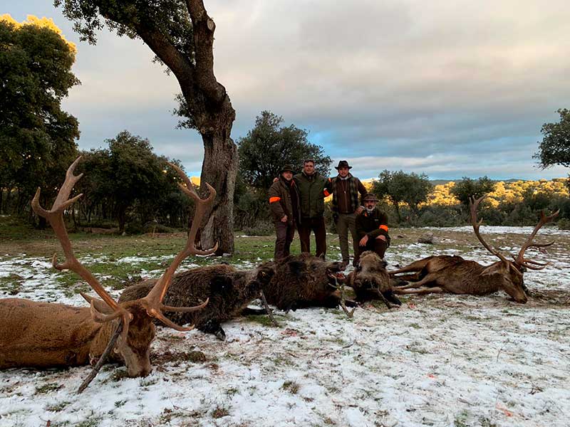 TorreondeArmenteros2002