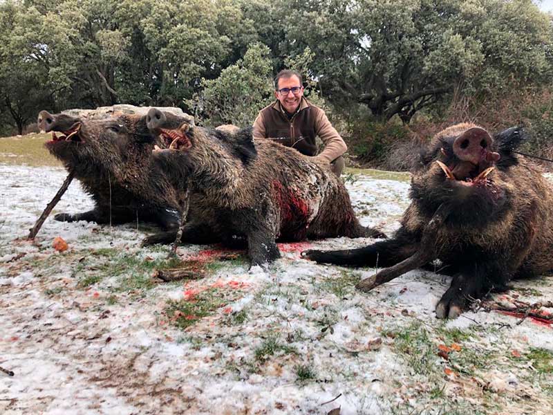 TorreondeArmenteros2004