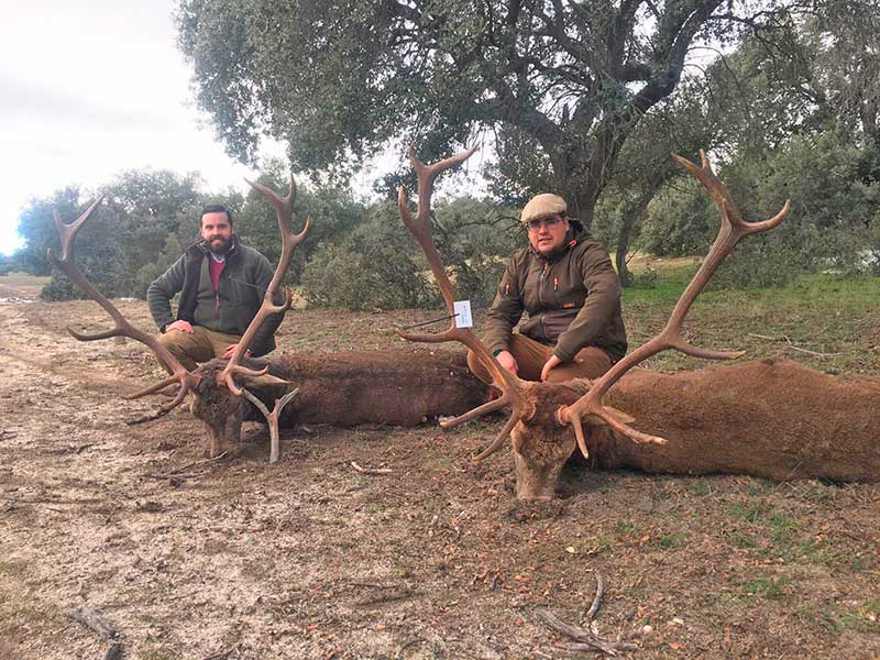 TorreondeArmenteros2018