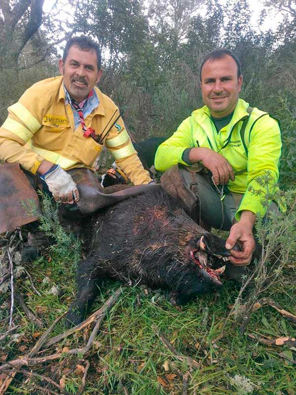 Torrico y Pacheco 2102