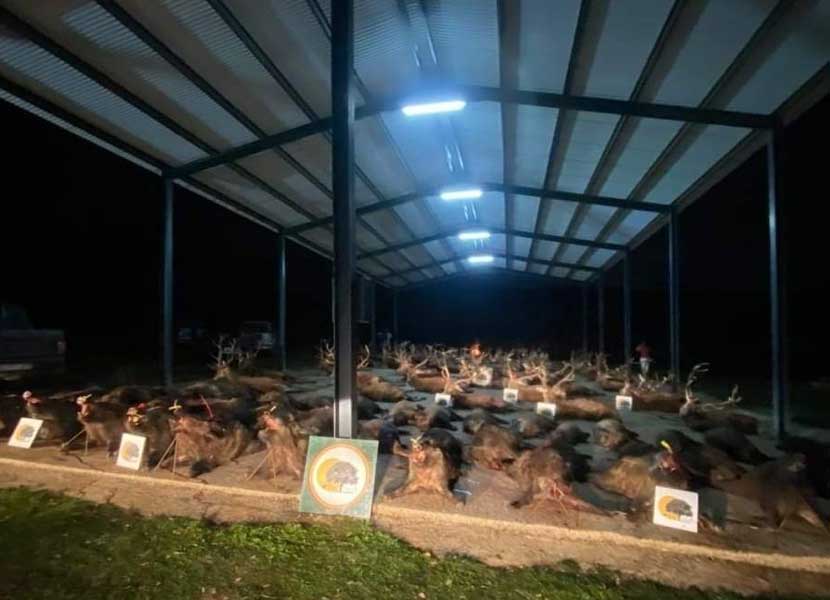 Valle de San Juan nov 2021 00