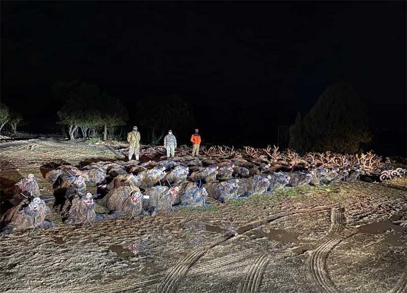 Resultado Montería Valdegabón 2021 Cinegética Cordobesa