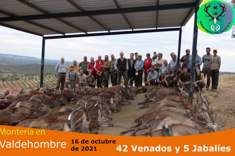 Resultado Montería Valdehombre oct 2021 Monteros del Hito