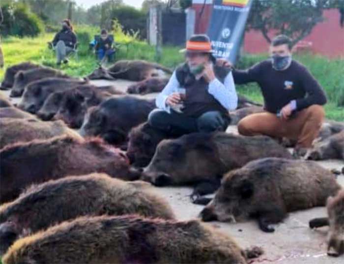 Valdepotros Castillete 2002