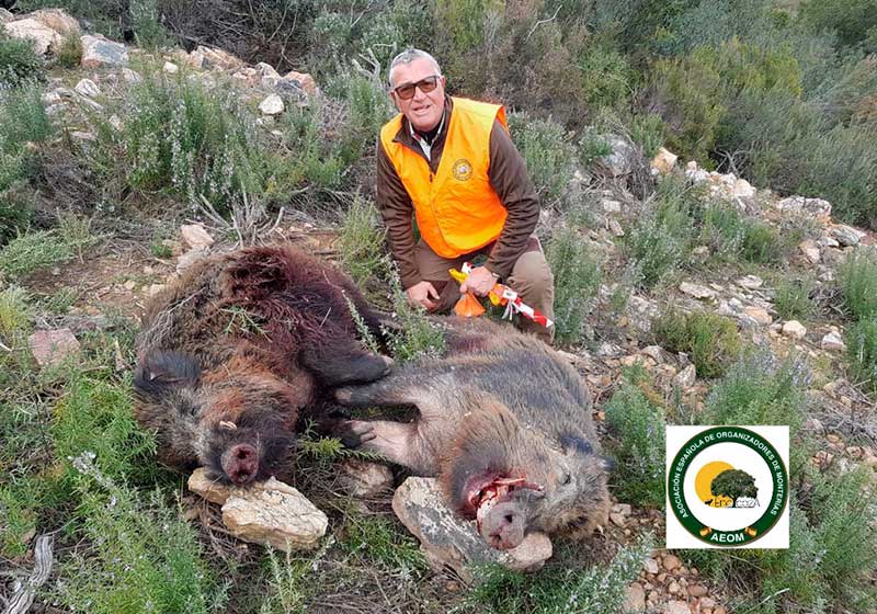 Valle de Sajua 202115