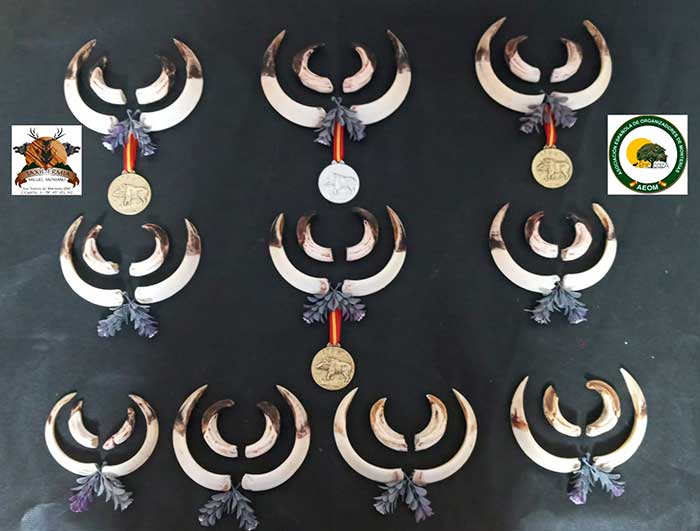 Valle de Sajua 202117