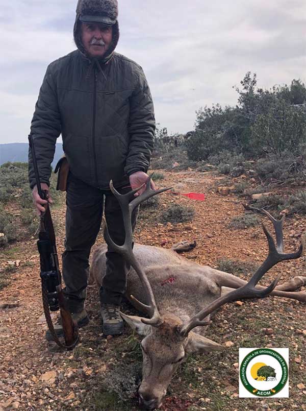 Valle de San Juan 210103