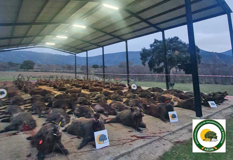 Valle de San Juan 210110