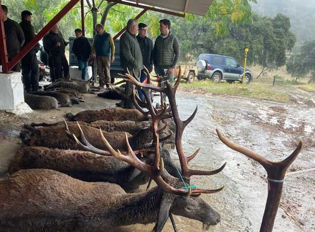 Valsequillos 2021 02