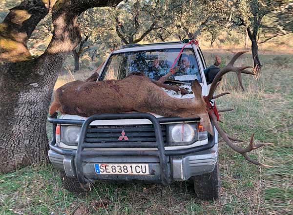 Monteria en Dehesa la Coronada
