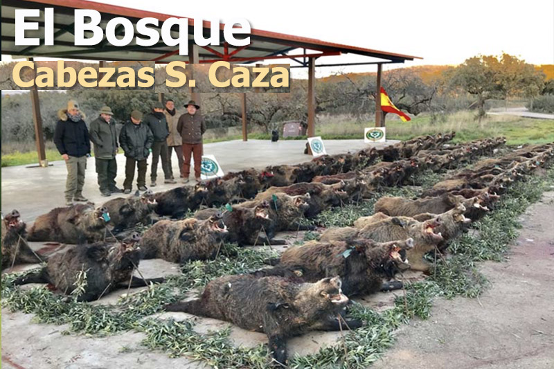 El Bosque. Información Montería
