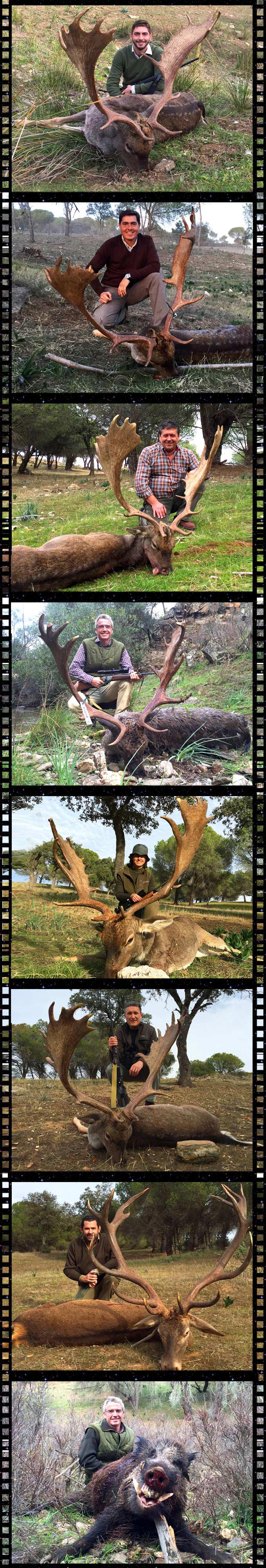 MonteriasBosquesyCazaSelladores21500
