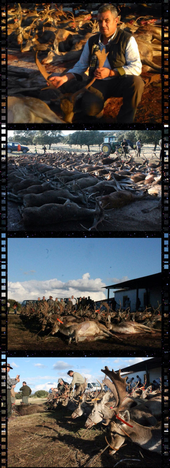 MonteriasMonfragueSierra201500