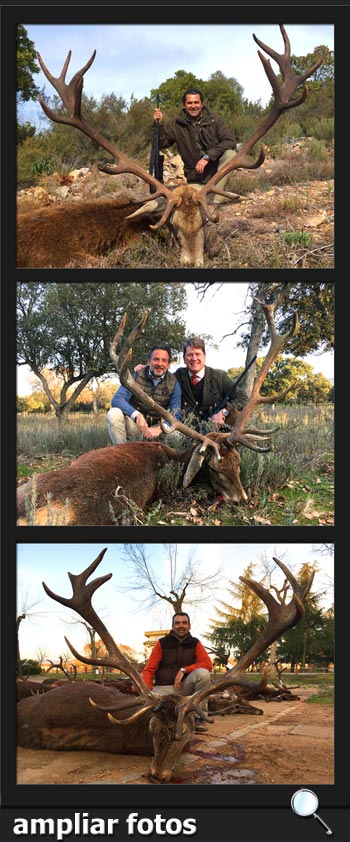 BosquesyCaza2017SotoSalcedasPQ