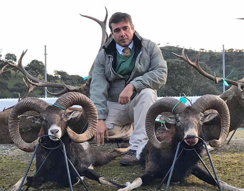 ArroyoMolino201801