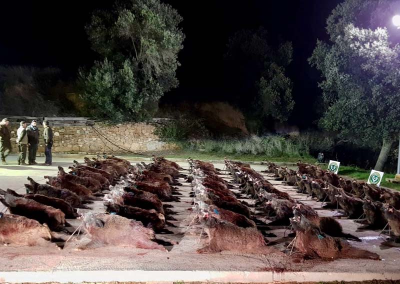Barrancones1201805