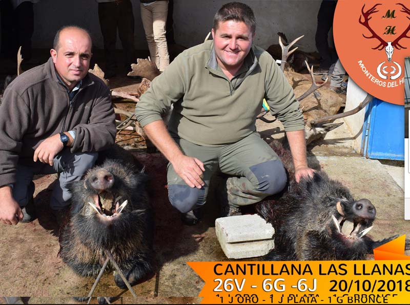Cantillana1201804