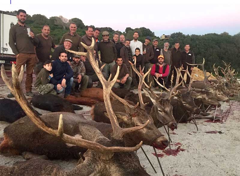 CasadelMarques201901