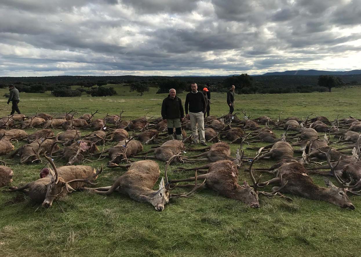 Resultado Montería El Vaqueril 2019 Ext. de Monterias