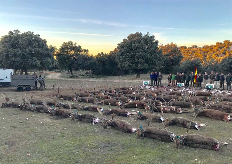 GUIJASALVAS201901