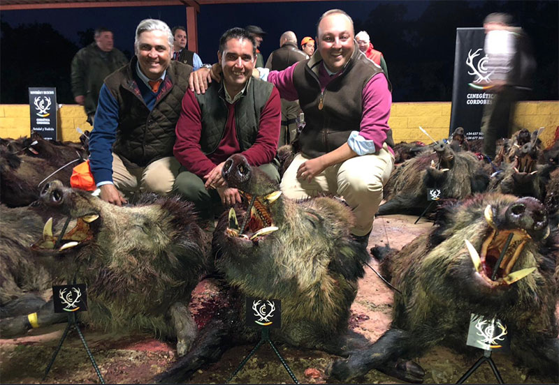 Resultado Montería El Halcón 2018 Cinegética Cordobesa