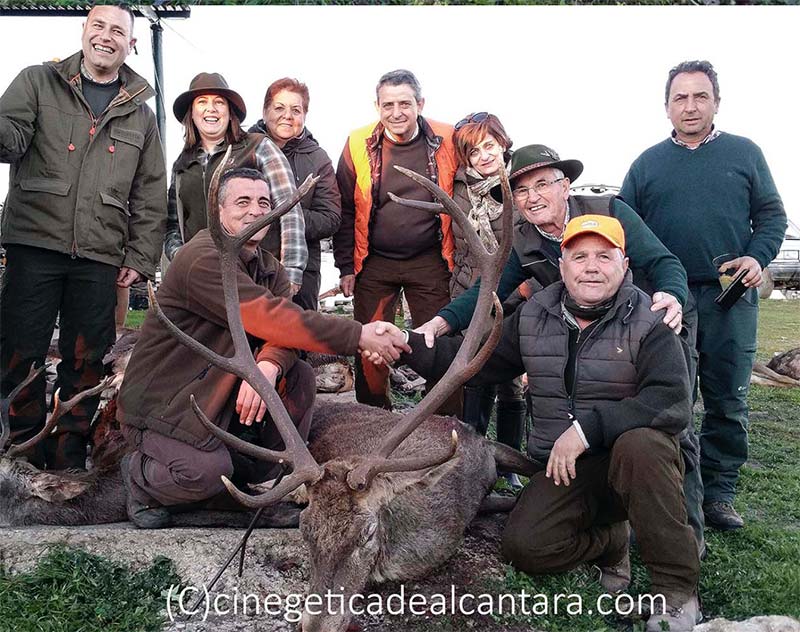 Hornitos201901