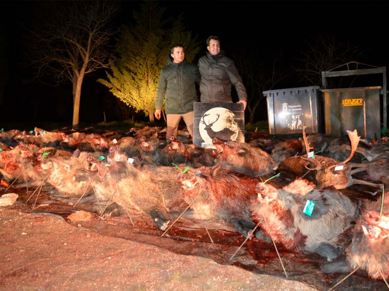Resultado Montería La Cizaña 2 2018 Iberian Hunting