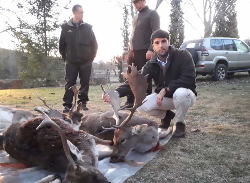 LaLosa201804