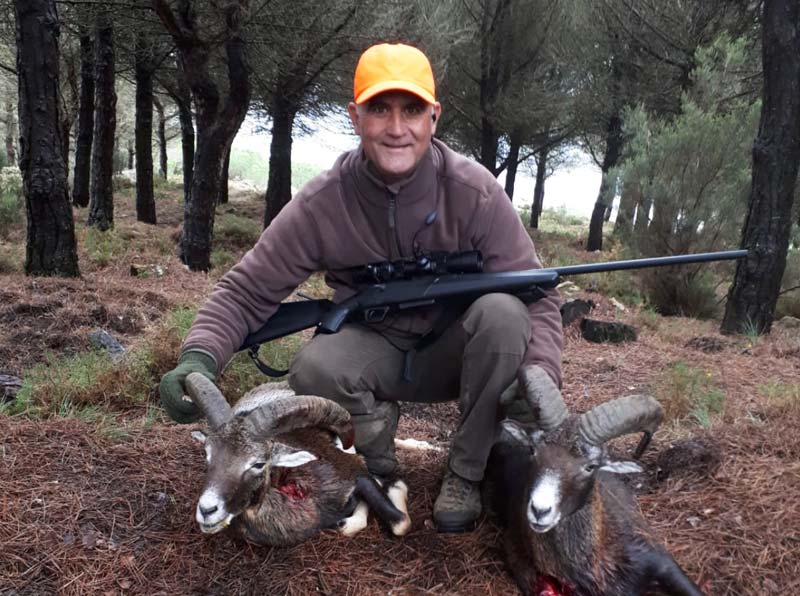 LlanosTorreta201802
