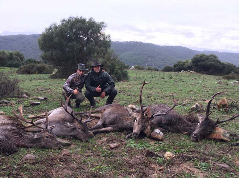 LlanosTorreta201808