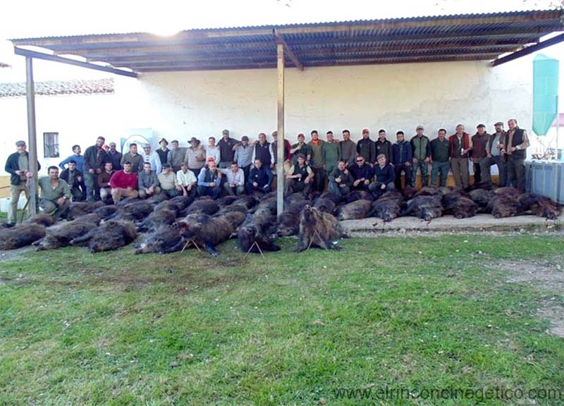 Parapunos201901