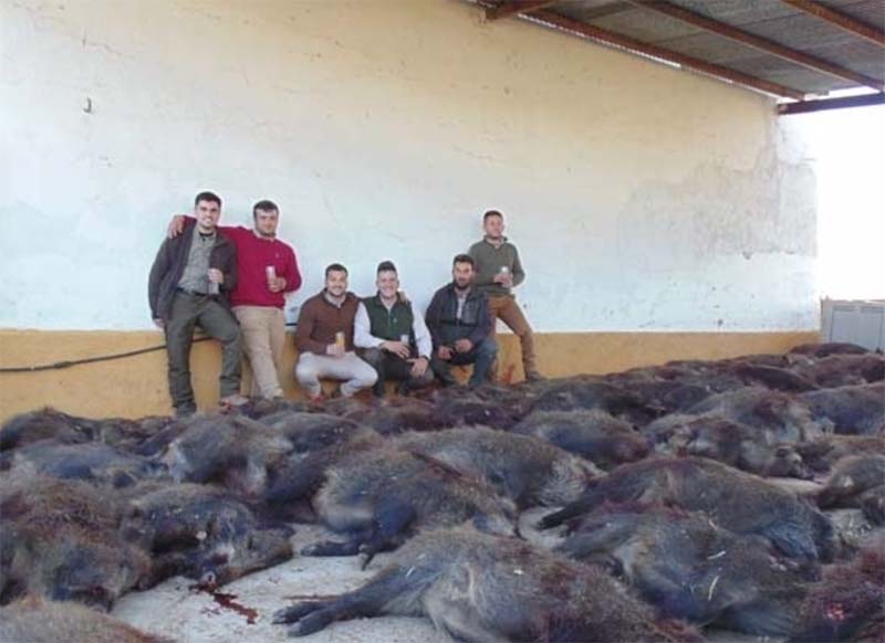 Parapunos201902